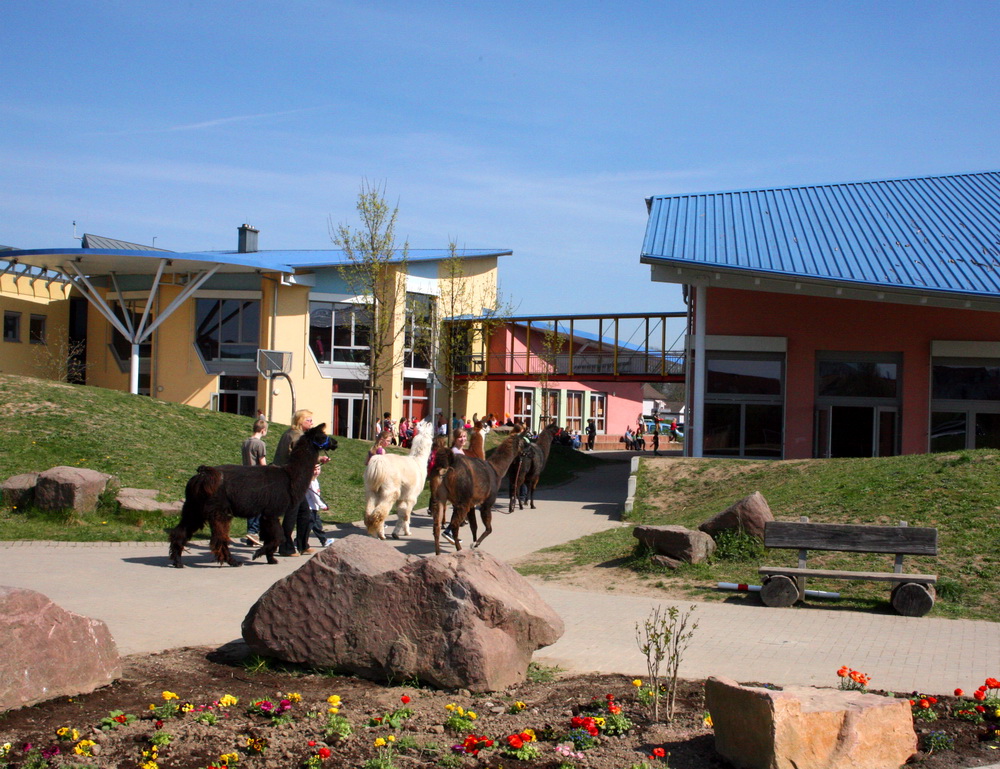 Außengelänade-mit Lamas-Header-Startseite-Parzial-Zentrum Karlsruhe Außengelänade-mit Lamas-Header-Startseite-Parzial-Zentrum Karlsruhe