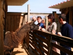 Besuch Daniell Porsche