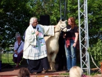 Tiersegnungsgottesdienst  auf dem Storchenhof 13