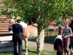 Tiersegnungsgottesdienst  auf dem Storchenhof 13